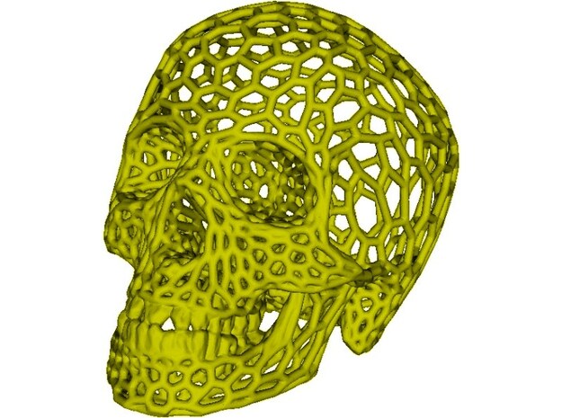 Human skull skeleton perforated sculpture in White Processed Versatile Plastic