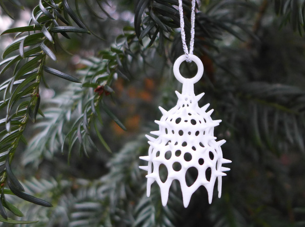 Calocyclas Ornament - Science Gift in White Processed Versatile Plastic