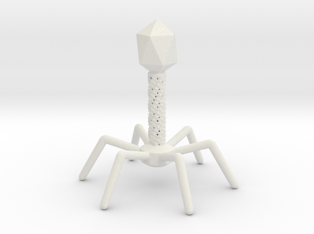 Bacteriophage T4 in White Natural Versatile Plastic