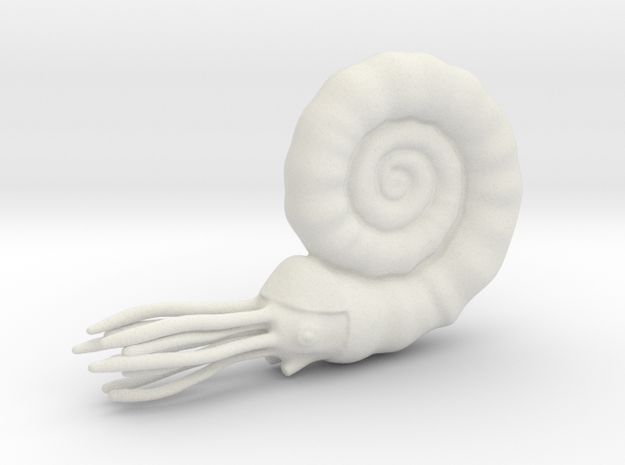Ammonite in White Natural Versatile Plastic