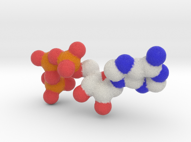 ATP Molecule (4X2D) in Full Color Sandstone
