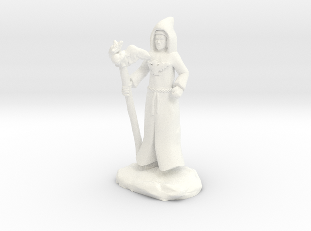 Dracandros, dragon cultist with Staff in White Processed Versatile Plastic