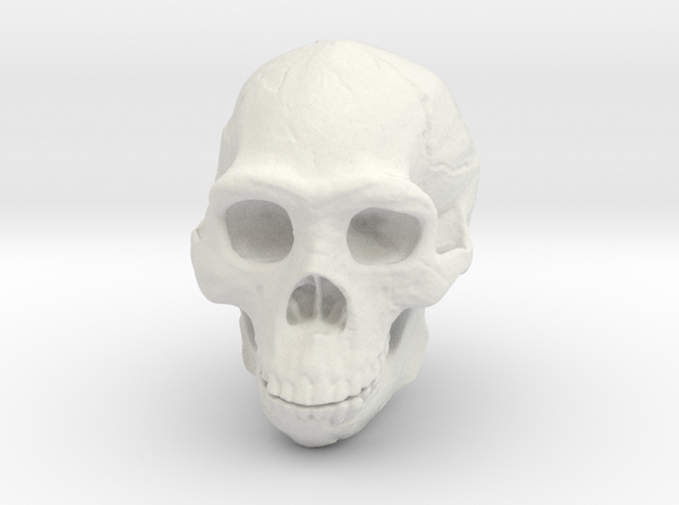 Real Skull : Homo erectus (Scale 1/4) in White Natural Versatile Plastic