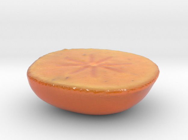 The Persimmon-Lower Half-mini in Glossy Full Color Sandstone