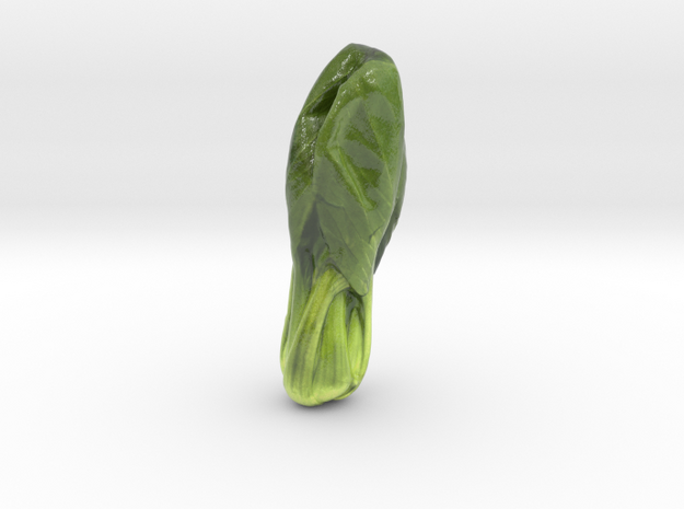 The Chinese Cabbage-mini in Glossy Full Color Sandstone