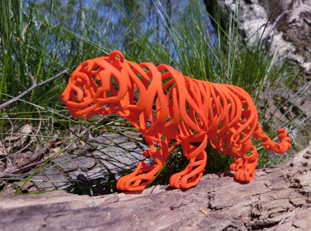Tiger Stripes and only Stripes in Orange Processed Versatile Plastic