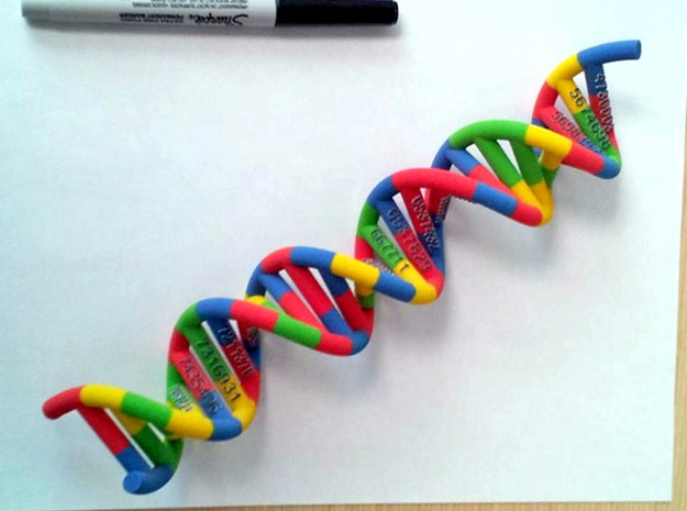DNA Molecule Schneider PatentNr in Full Color Sandstone