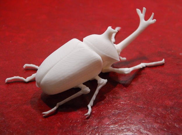 Articulated Rhino Beetle (Allomyrina dichotoma) in White Natural Versatile Plastic