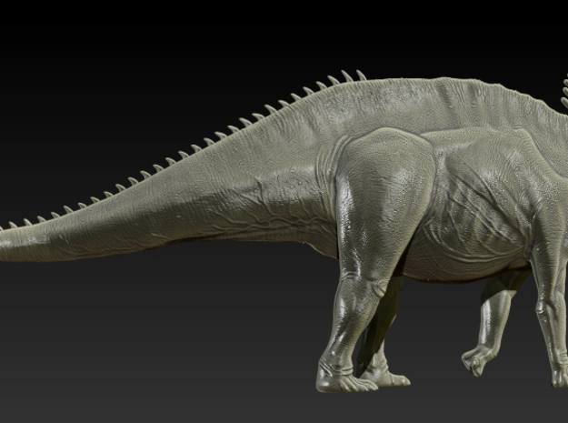 1/40 Amargasaurus - Walking 2 in White Natural Versatile Plastic