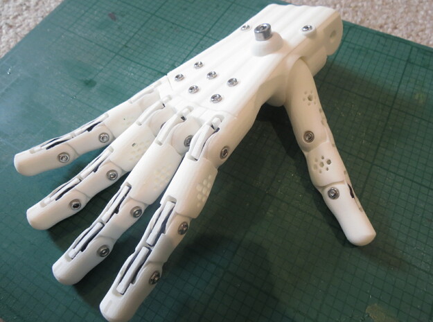 3D Printed Hand Right in White Natural Versatile Plastic