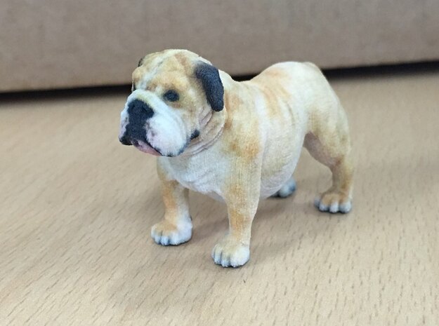 Bull Dog mini size (color) in Full Color Sandstone