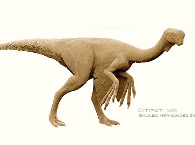 Citipati1:20 v3