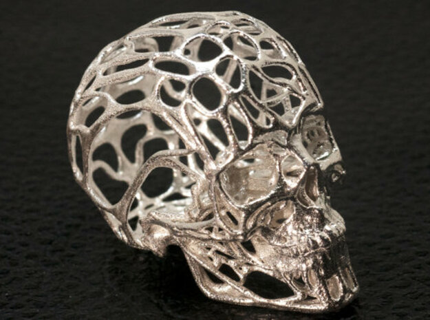 Human Skull - Wireframe design in Natural Silver