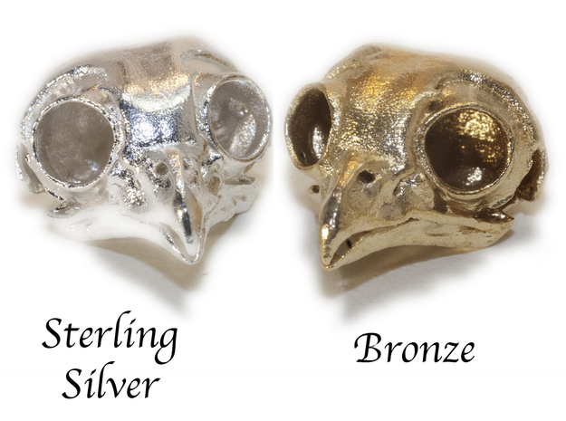Screech Owl Skull in Natural Silver