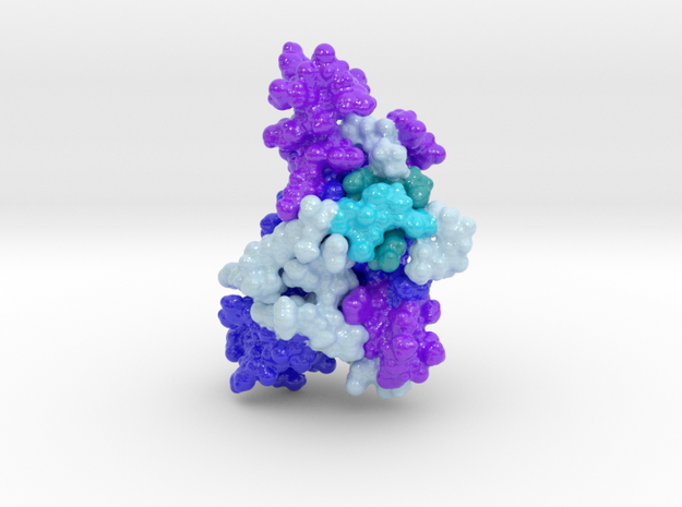 Human Prion Protein Surface in Glossy Full Color Sandstone: Small