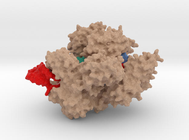 Cas9 bound to PAM-containing DNA target