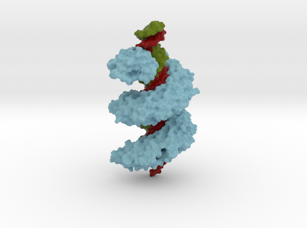 TAL effector complex with DNA in Full Color Sandstone