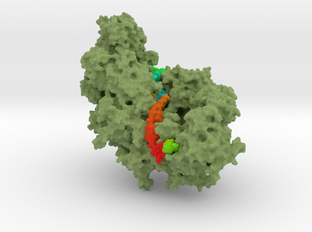 RecA-dsDNA Structure in Full Color Sandstone