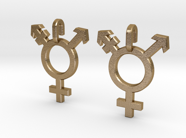 Transgender Earrings in Polished Gold Steel