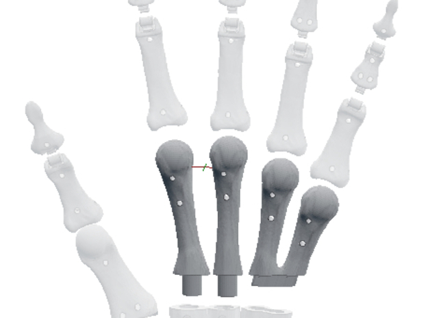 Innerbreed Hand Metacarples in White Natural Versatile Plastic