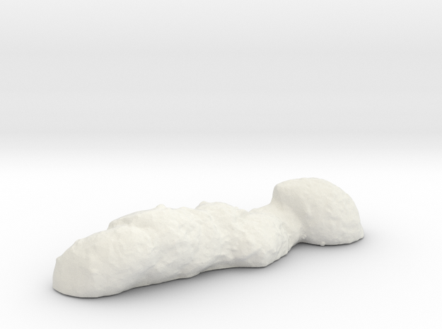 "Oh, poop!" Authentic 3D-scanned, life-sized feces in White Natural Versatile Plastic
