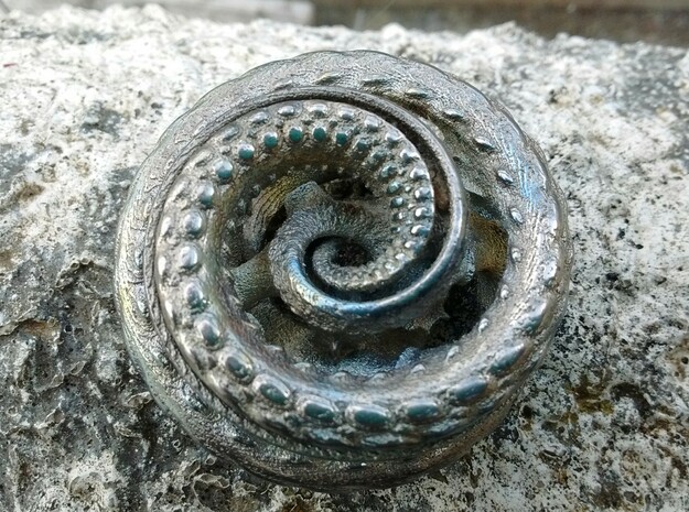 Nautilus pocket sculpture in Polished Bronzed Silver Steel