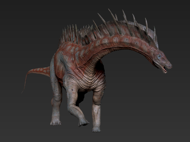 Amargasaurus (Medium/Large size)
