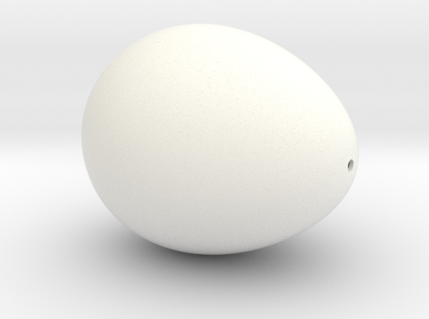 Hollow Egg in White Processed Versatile Plastic: Medium