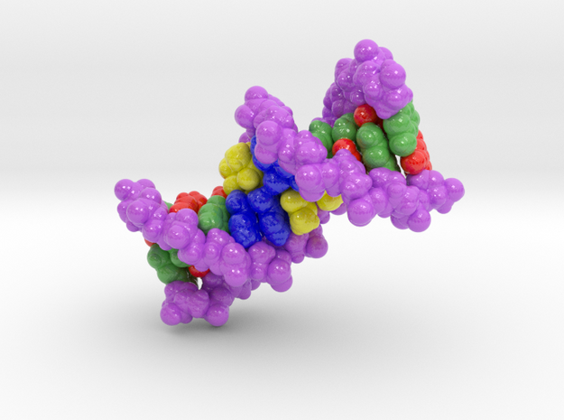 DNA in Glossy Full Color Sandstone