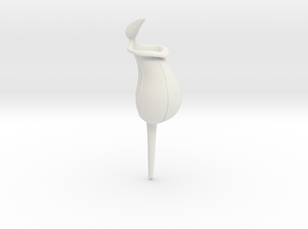 Pitcher Plant Watering Spike in White Natural Versatile Plastic