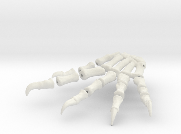 Komodo Right Foot Front 1:5 Scale in White Natural Versatile Plastic