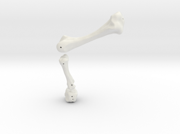 Komodo Rigth Leg Back 1:5 Scale in White Natural Versatile Plastic