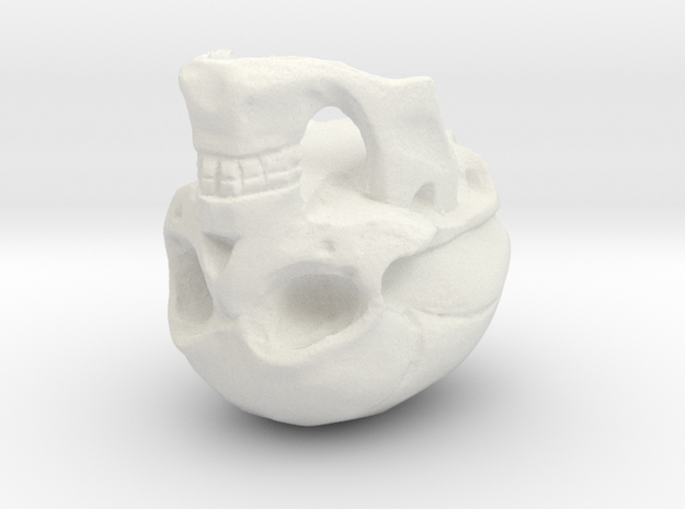 Skull in White Natural Versatile Plastic