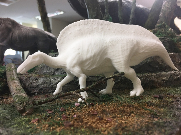 Ouranosaurus (Medium/Large size) in White Natural Versatile Plastic: Medium