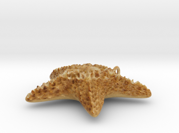 Starfish EtchText in Full Color Sandstone