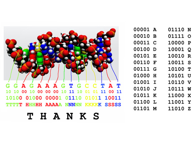 DNA GGAGAAAGTGCCTAT "THANKS" 5pcs in Full Color Sandstone