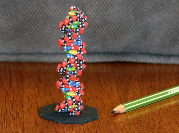 DNA Molecule Model Upright in Full Color Sandstone: Small