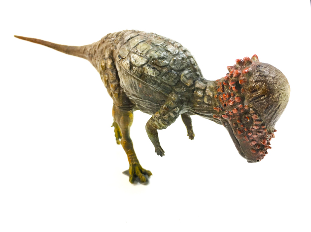 Pachycephalosaurus (Medium size) in White Natural Versatile Plastic: Medium