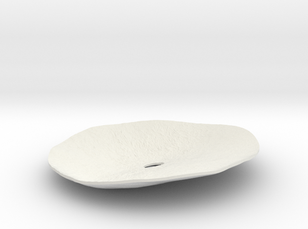 Taraxacum Cover Lid in White Natural Versatile Plastic