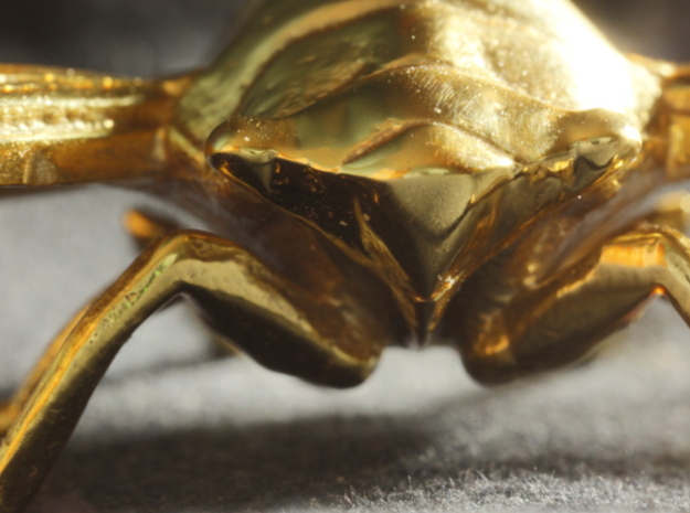 Gold-Plated Brass Cicada in 18K Gold Plated