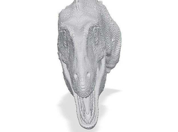 Digital-Dinosaur Acrocanthosaurus 1:35 head WSF in Dinosaur Acrocanthosaurus 1:35 head WSF