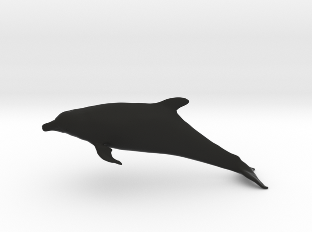 Bottlenose Dolphin (Turiops truncatus) in Black Natural Versatile Plastic