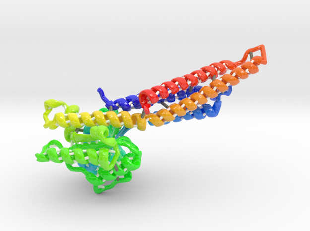 Mitofusin Protein 1 in Glossy Full Color Sandstone