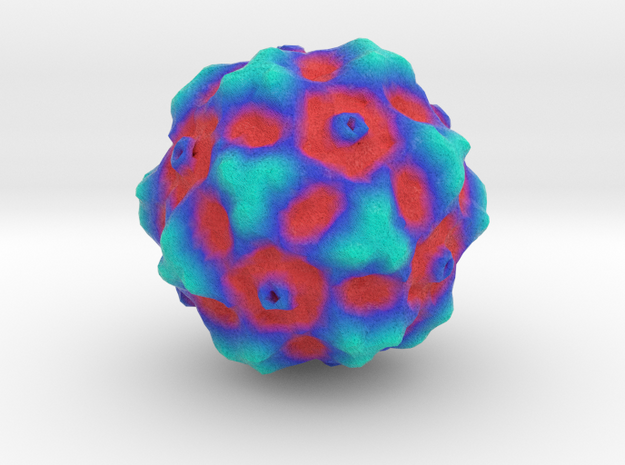 Canine Parvovirus in Full Color Sandstone