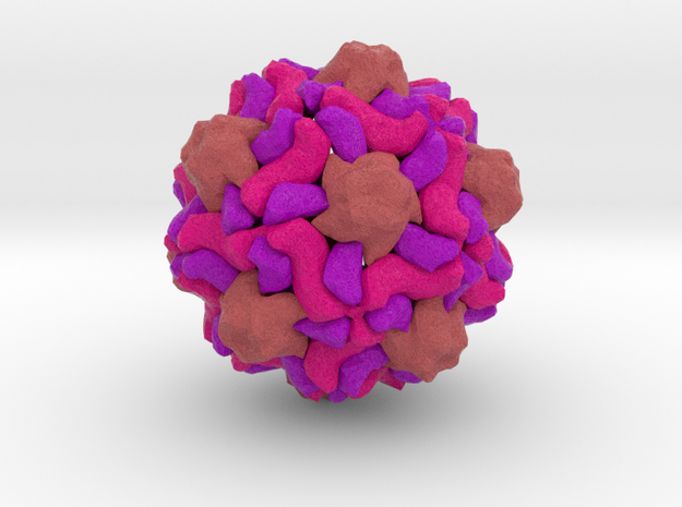 Physalis Mottle Virus in Full Color Sandstone