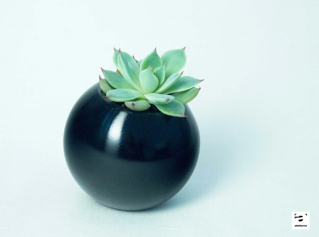 Sfera - planter for succulents and cactuses in Black Natural Versatile Plastic: Small