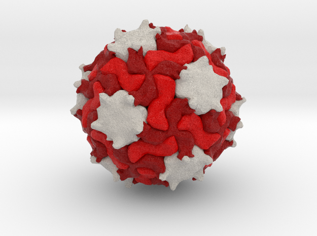 Triatoma Virus in Full Color Sandstone