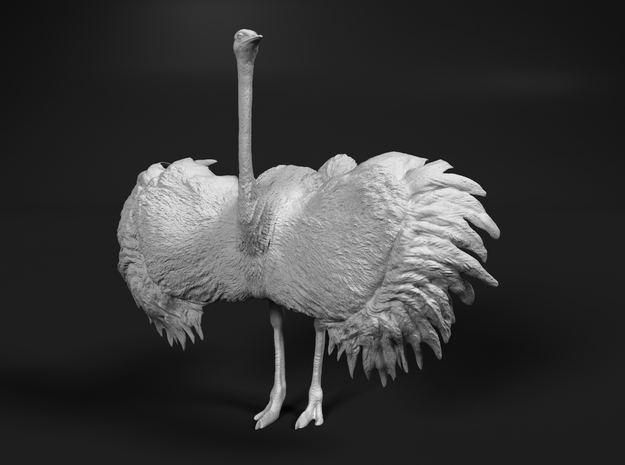 Ostrich 1:6 Wings Spread in White Natural Versatile Plastic