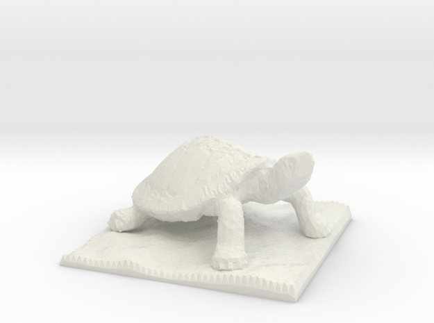 Turtle Pawn  in White Natural Versatile Plastic