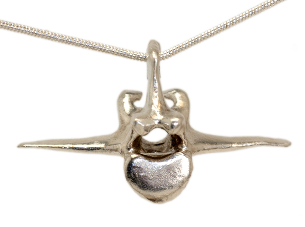 Vertebra #8 40mm with 4mm Hole  in Natural Silver